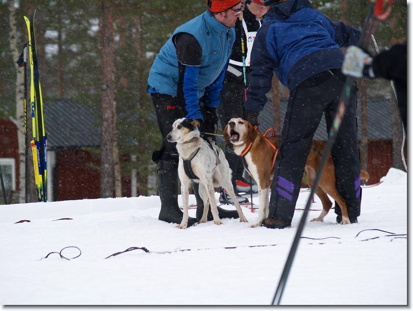 Nästa bild